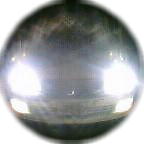 SYLPHY