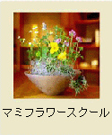 }~t[XN[