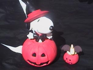 PO
