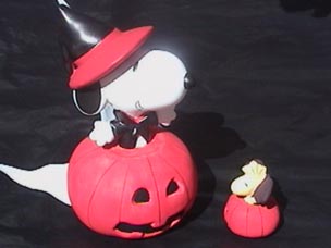 PO