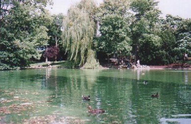 stadtpark