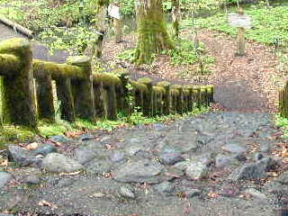 �ۏ����K�i