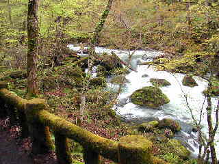 �V�����ƌk��