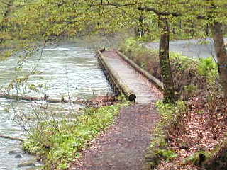 �V�����̋�