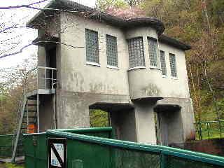 �q�̌�����