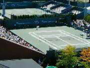 ���N�j�q�̕�����