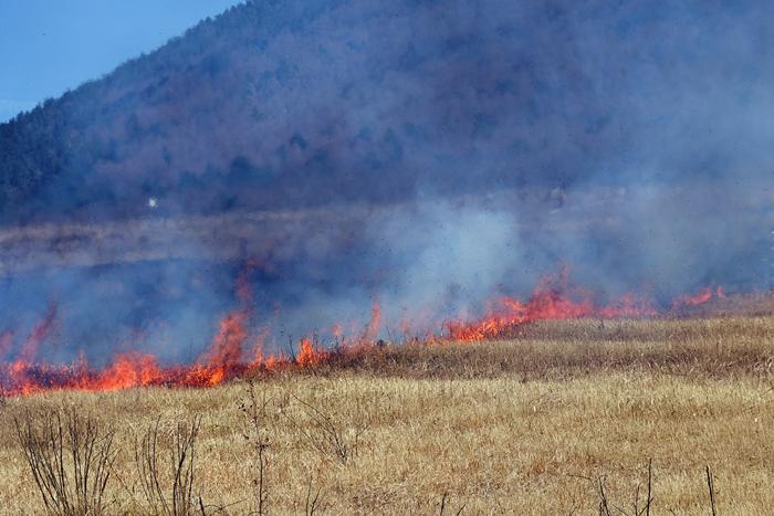 三瓶山 西の原 火入れ