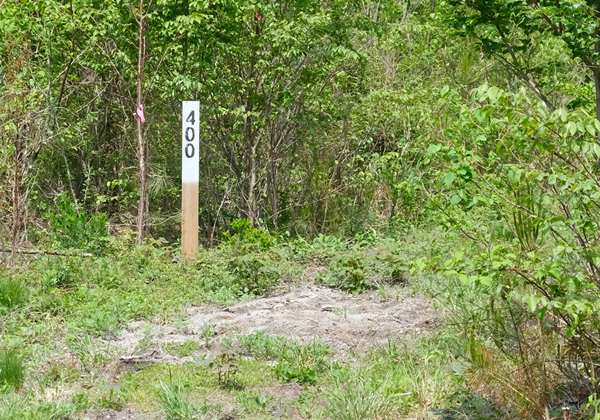 三瓶山北の原 8月