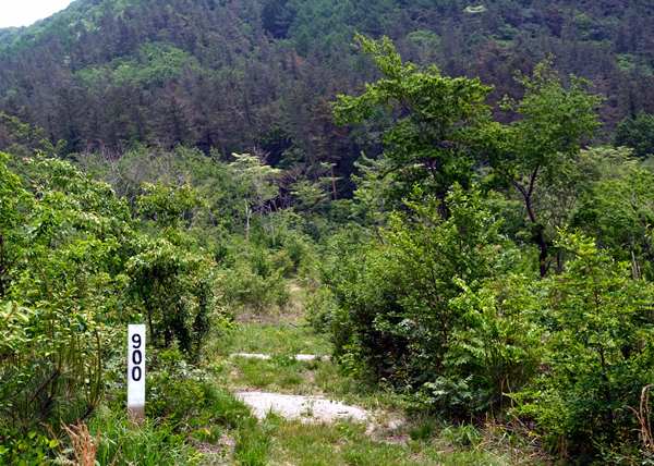 三瓶山北の原 8月