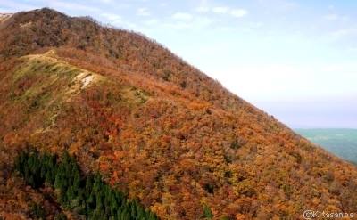 北斜面の三瓶山自然林の紅葉