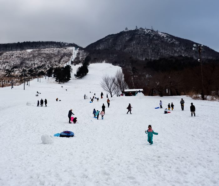 さんべ志学の雪あかり