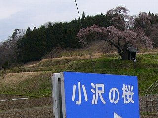 摜2007.4.22 007.tssJPG