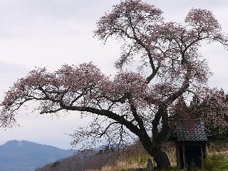 摜2007.4.22 011.tssJPG