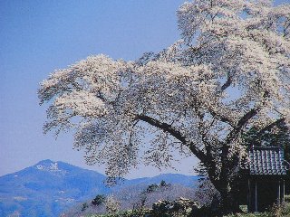 摜2007.4.22 012.tssJPG