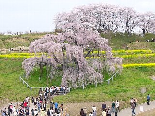 摜2007.4.22 013.tssJPG