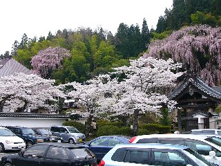 摜2007.4.22 015.tssJPG