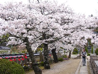 摜2007.4.22 016.ssJPG