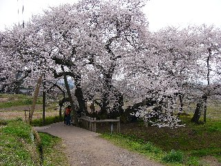 摜2007.4.22 031.ssJPG