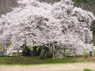 摜2007.4.22 029.ssJPG