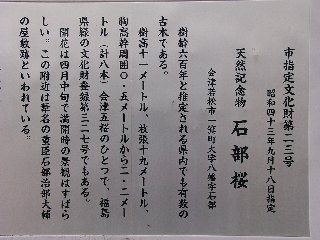 摜2007.4.22 034.ssJPG
