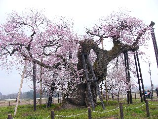 摜2007.4.22 055.ssJPG