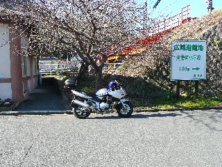 009ss.jpg