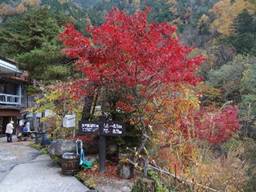 DSC00202ss.jpg