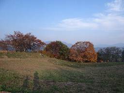 DSC00821s.jpg
