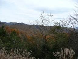 P1010125s.jpg