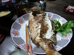 P1010194ss.jpg