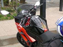 P1010245tss.jpg