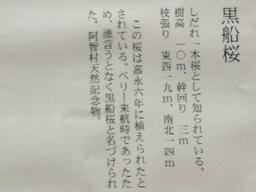 P1010220tss.jpg