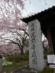 P1010226ss.jpg