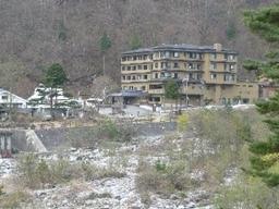 P1010239ss.jpg