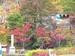 摜2005