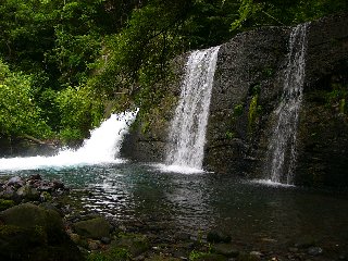 摜2005