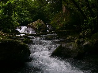 摜2005