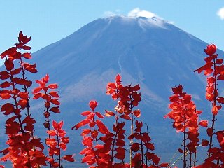 摜2006