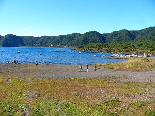 摜2006