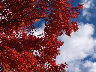 摜2006.11.12-2 009