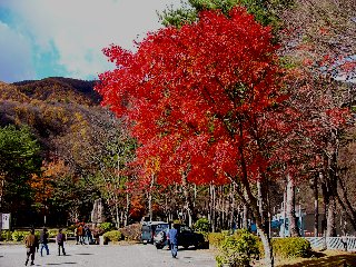摜2006.11.12 004