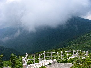 摜2005