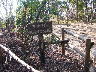 摜2006