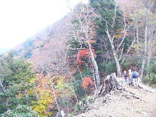摜2006.11.4 021