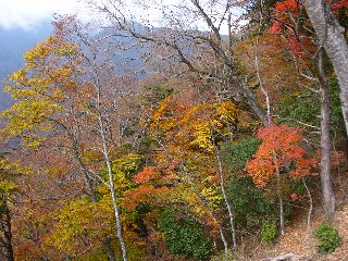 摜2006.11.4 043