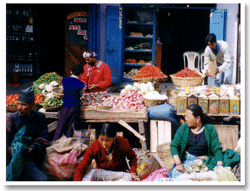 �K���g�N�̒��s