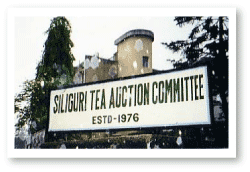 �I�[�N�V�������O��