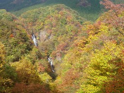 �R�̃��X�g��������̖��~�̑�@