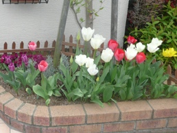 �`���[���b�v