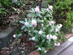 �W���`���E�Q